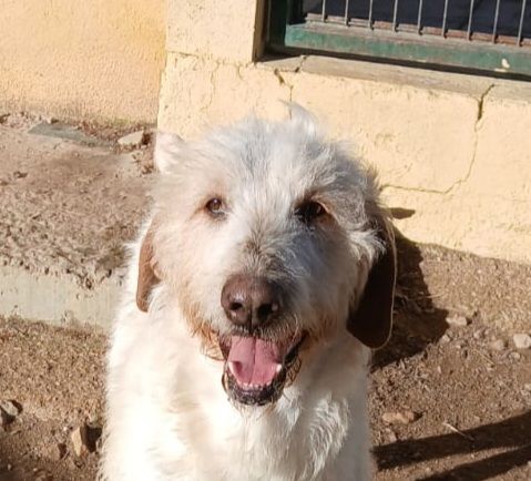 LUHO 320 27620 Gasny