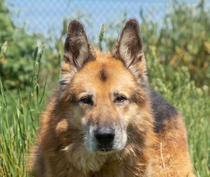 BACO 320 27620 Gasny