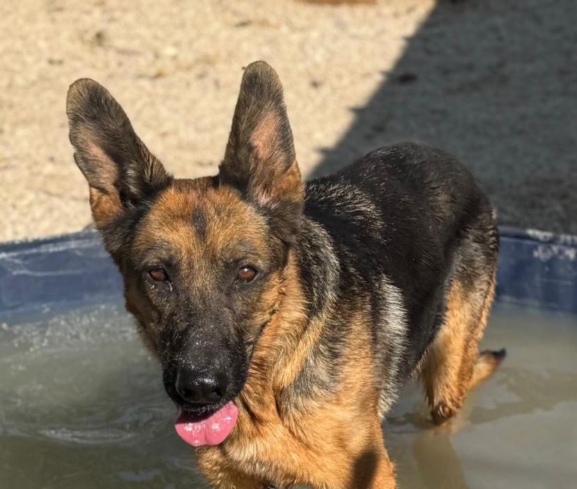 LUCI 320 27620 Gasny