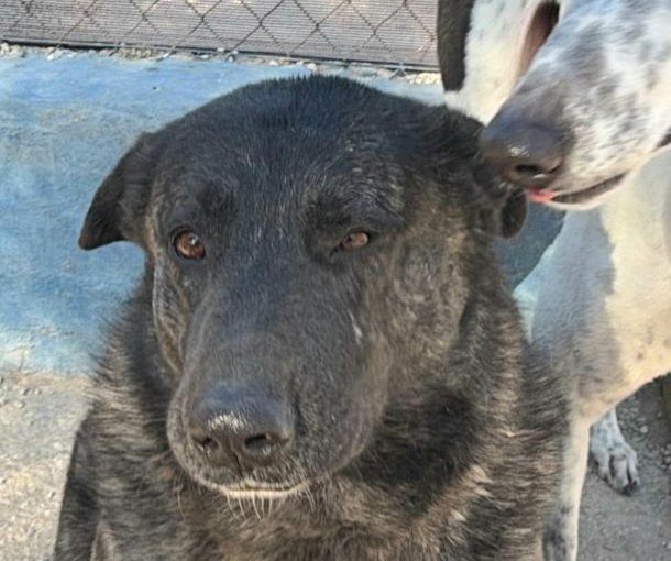 JUDITH 320 27620 Gasny