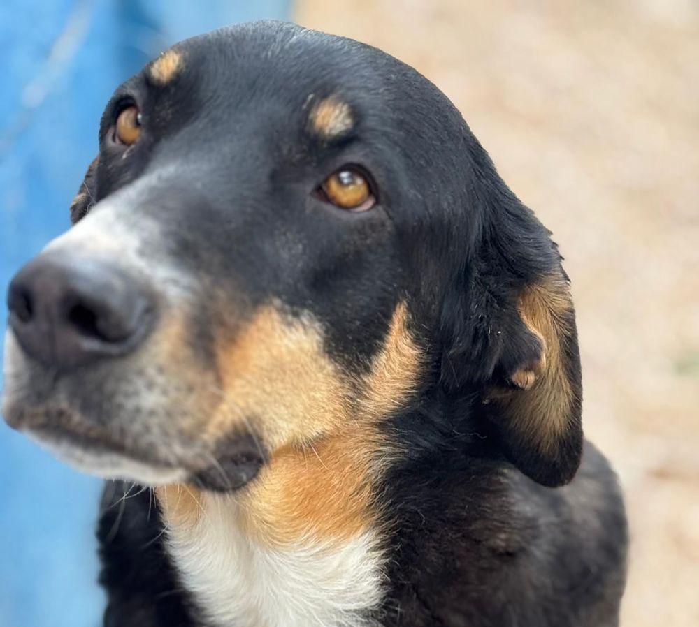 MILA 320 27620 Gasny