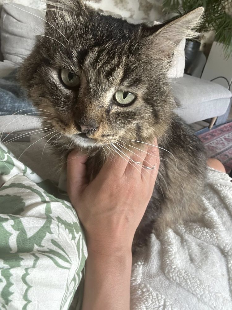 Brigand 190 44000 Nantes