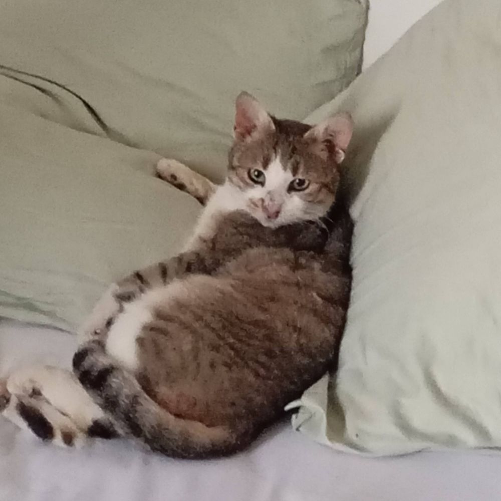 ROMEO 50 26240 Saint-uze