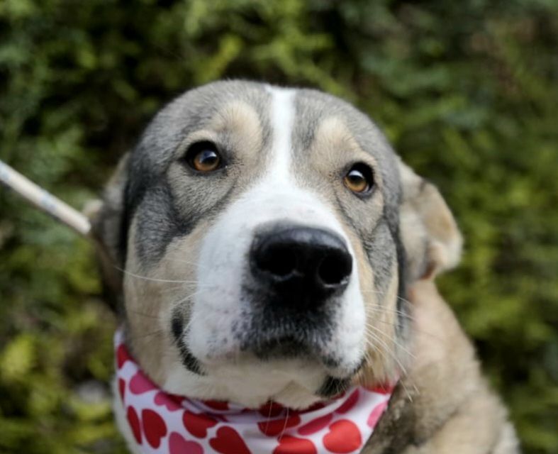 KEYLA 320 27620 Gasny