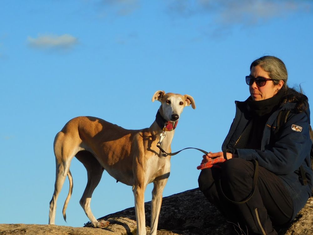 PERLA🩷  fid&egrave;le jusqi'au bout du coeur , elle attend simplement l'Amour 315 24140 Douville