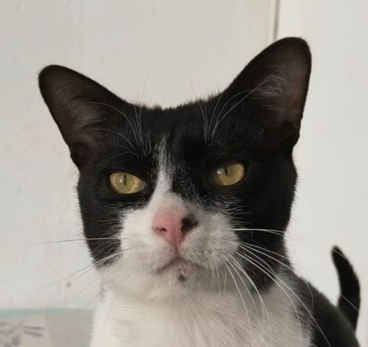 FILON 230 27620 Gasny