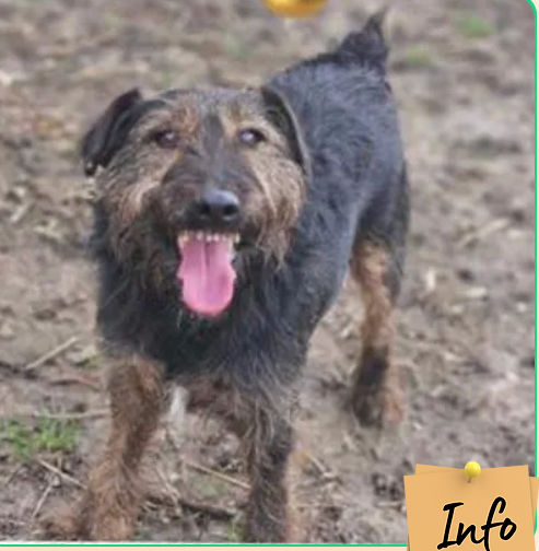 Fredo 50 26700 Pierrelatte