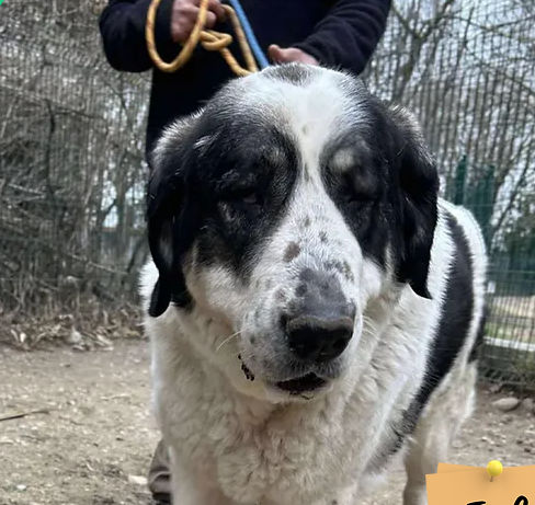 Hera 130 26700 Pierrelatte