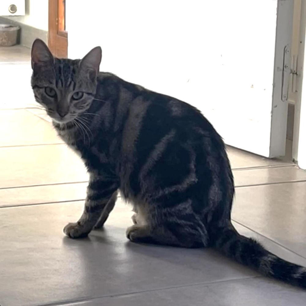 EYE LINER 50 26300 Bourg-de-p�age