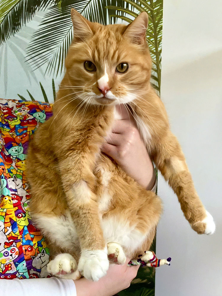 PAPY SUZE 1 26290 Donz�re