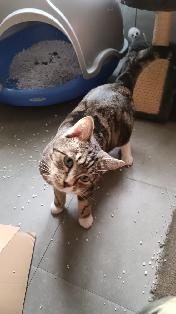 EMILIA 240 92400 Courbevoie