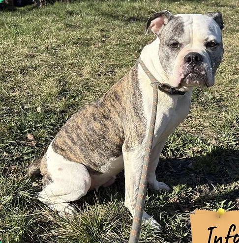 McKenna 50 26700 Pierrelatte