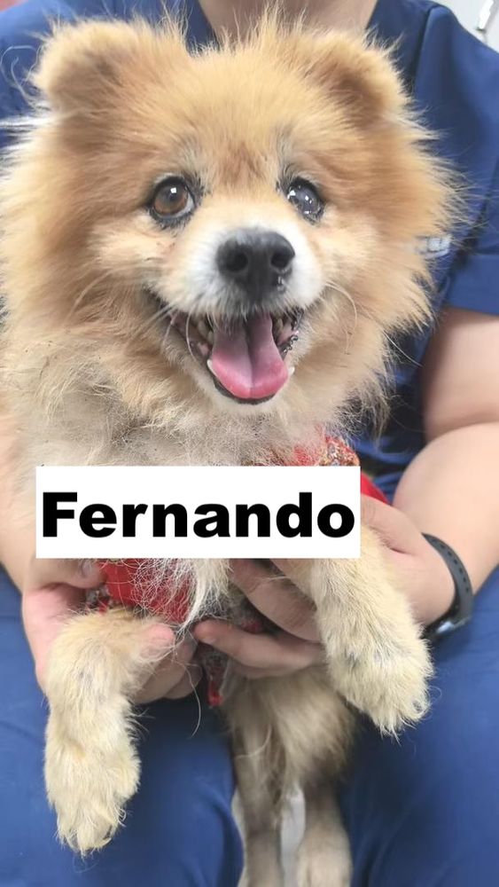 FERNANDO SE TROUVE DANS UN REFUGE EN CHINE 0 75018 Paris