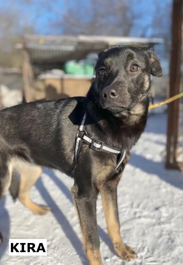 KIRA SE TROUVE DANS UN REFUGE EN UKRAINE 0 75018 Paris