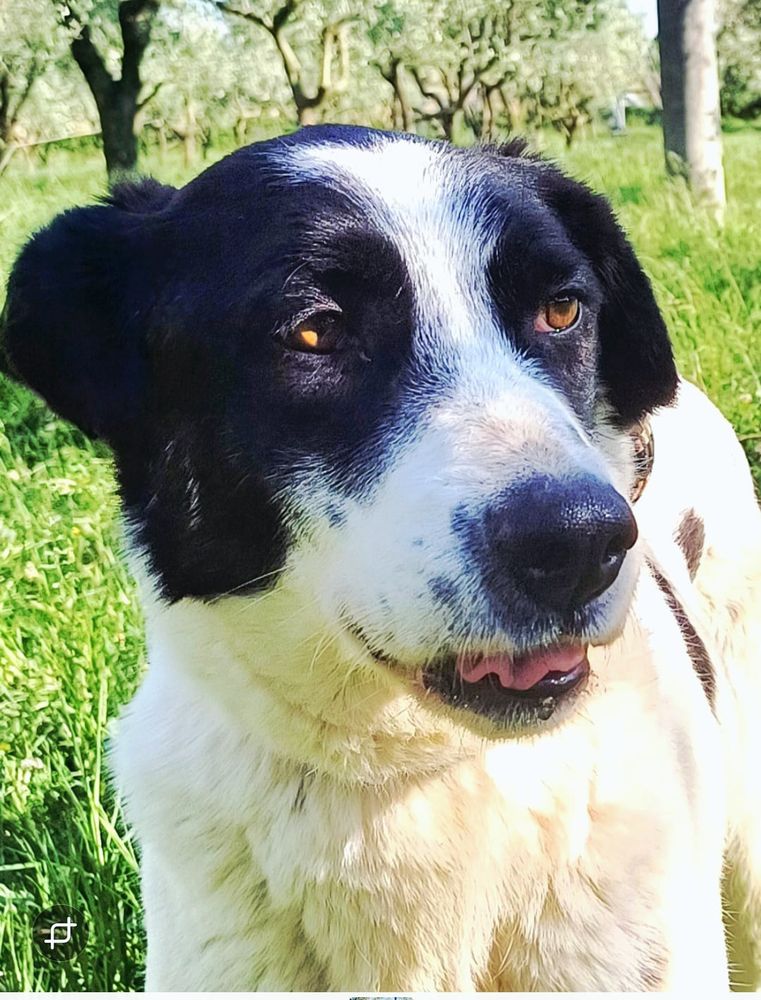 JACKY SE TROUVE DANS UN REFUGE EN ALBANIE 0 75018 Paris