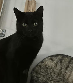 Lascar 200 26700 Pierrelatte