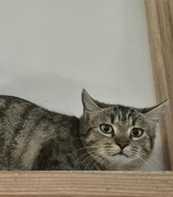 Akela 200 26700 Pierrelatte