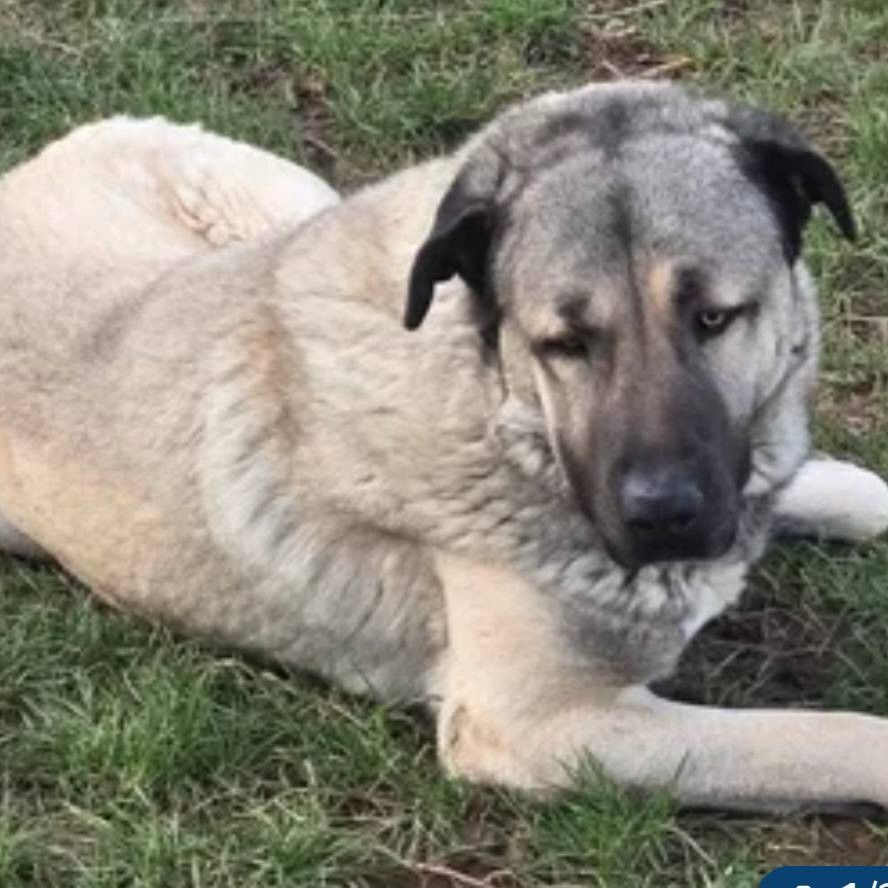 ALTAY 200 26100 Romans-sur-is�re