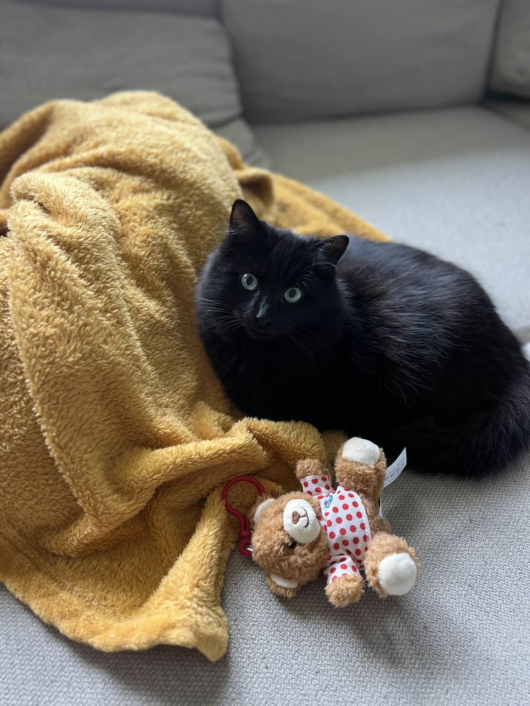 Curcuma 190 44000 Nantes