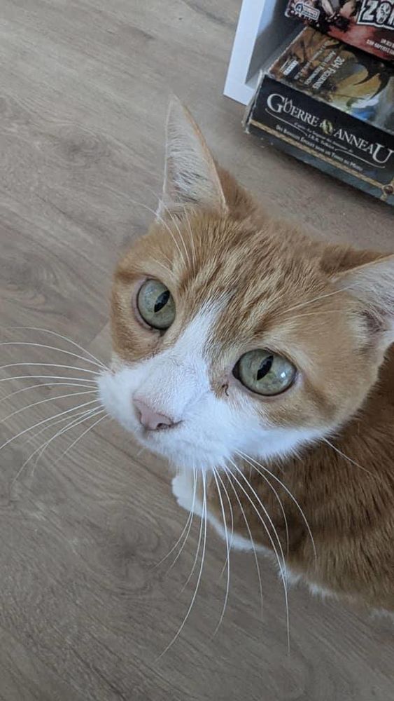 Babou 80 44000 Nantes