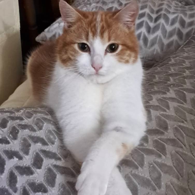 NOUGAT 180 26260 Charmes-sur-l'herbasse