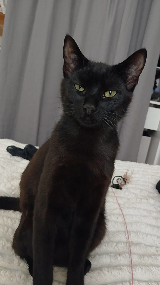 Moorea 220 44000 Nantes