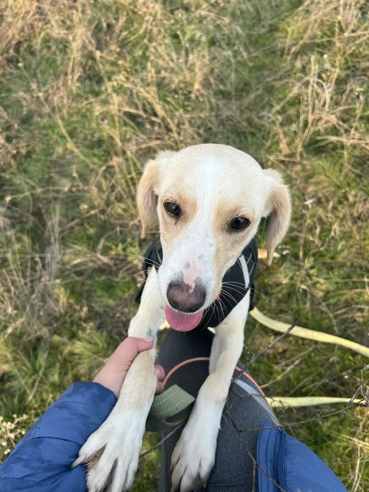 ARIEL SE TROUVE DANS UN REFUGE EN UKRAINE 0 75018 Paris