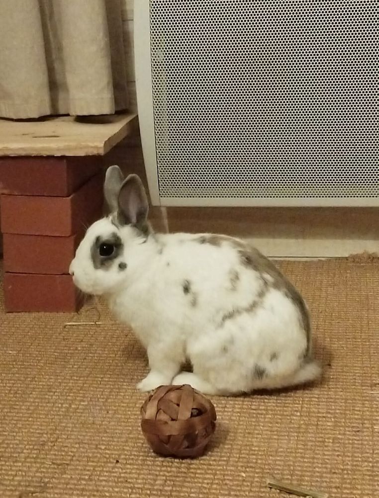 SONIC 120 14000 Caen