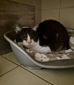 Ninou 150 26700 Pierrelatte