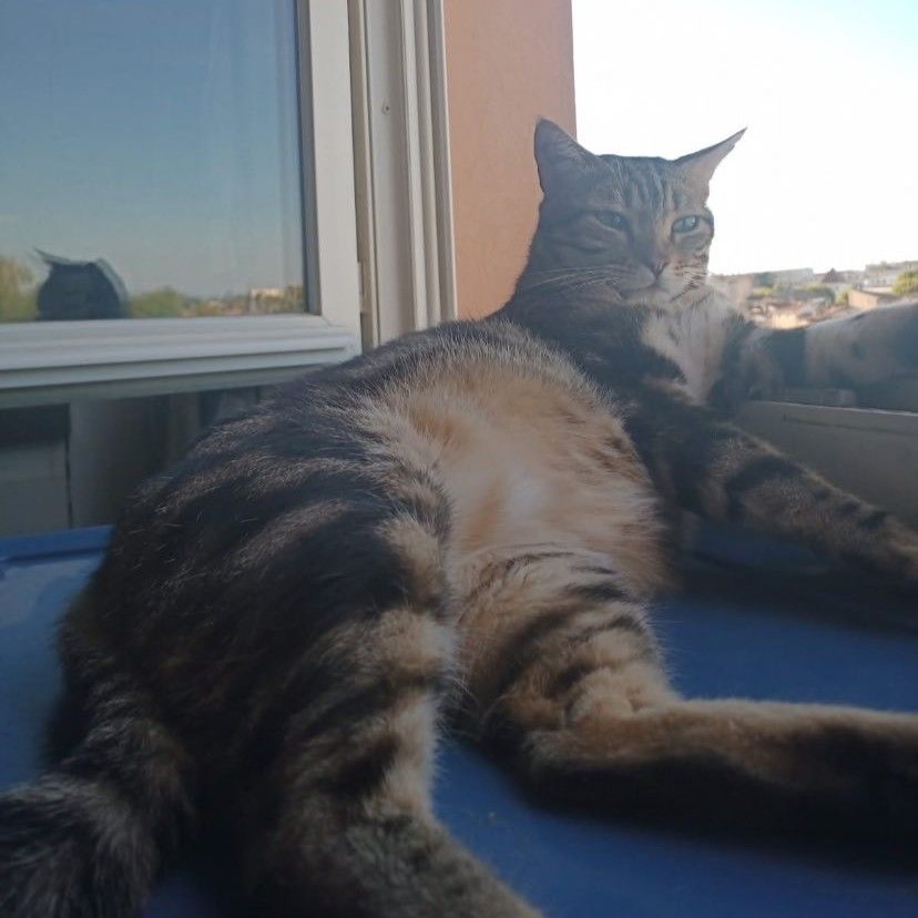 LIKOU 0 26300 Bourg-de-p�age