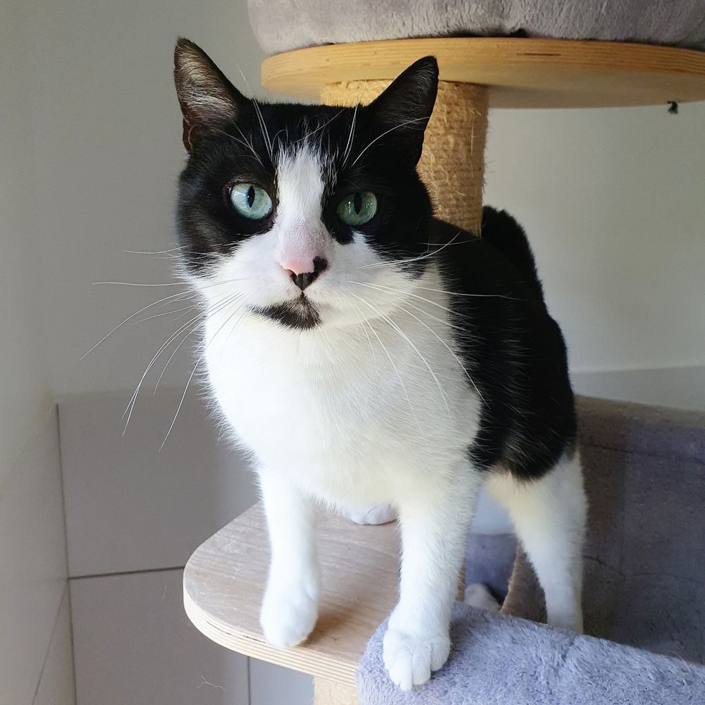 INAYA 1 26220 Dieulefit