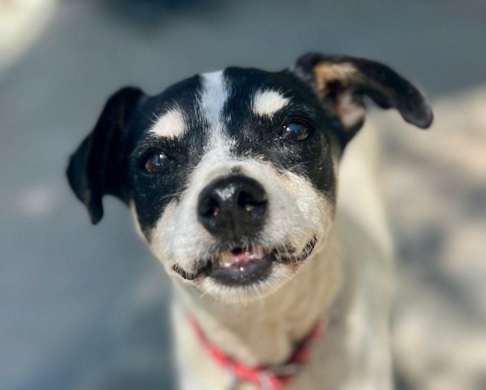 FIONA 320 27620 Gasny