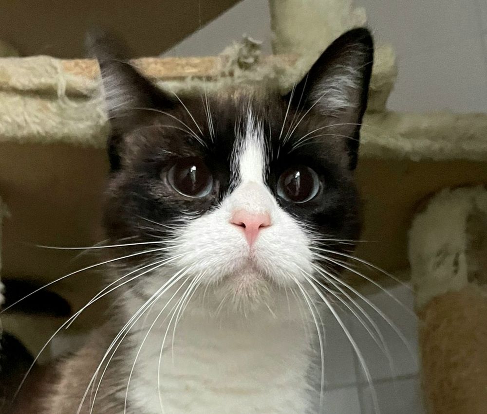 CLAUDIE 230 27620 Gasny