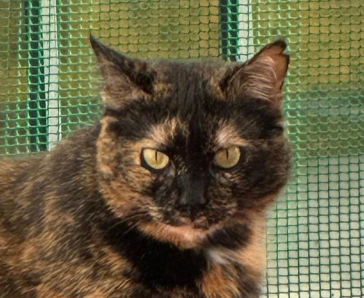 LUCY 230 27620 Gasny