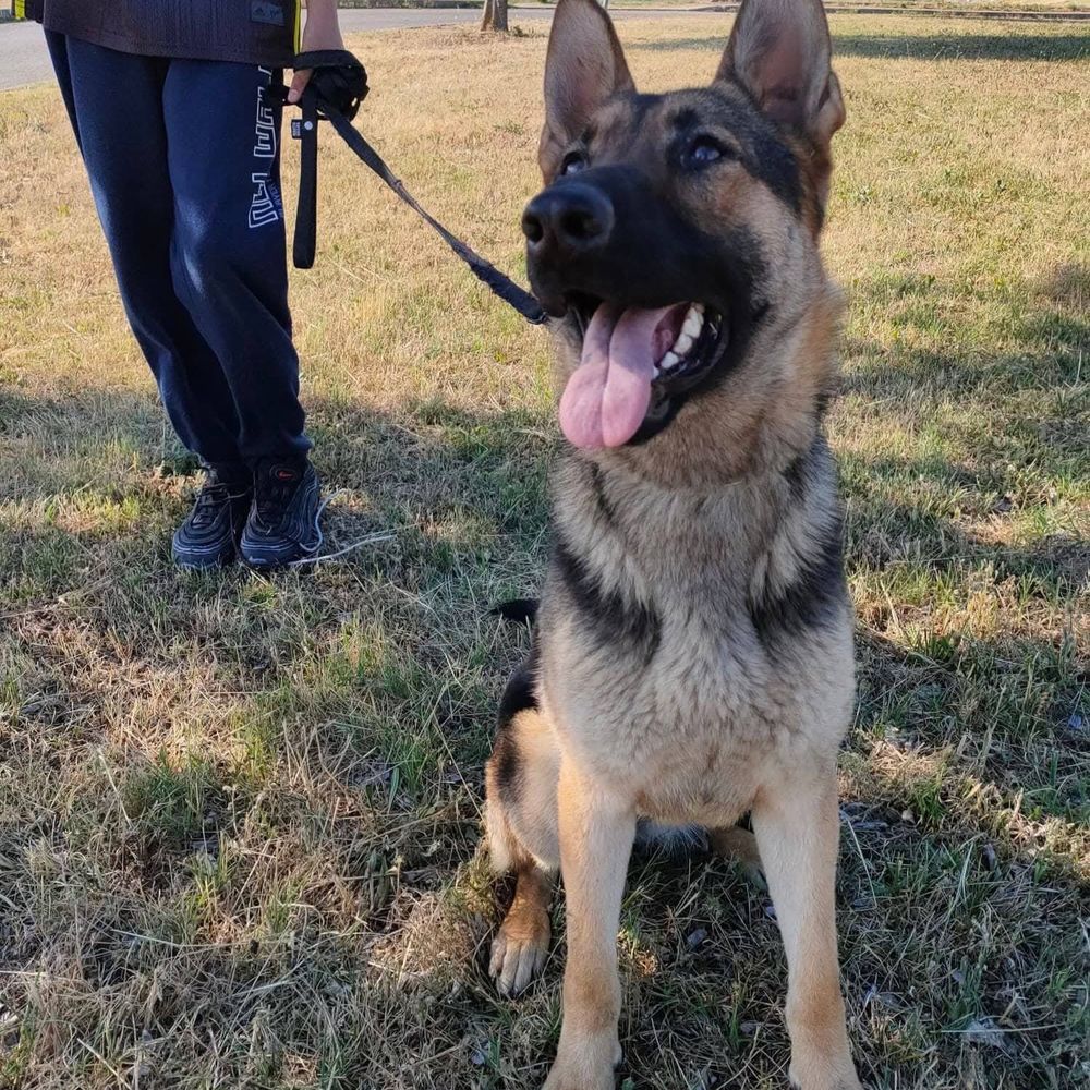 MAIRA 200 26100 Romans-sur-is�re