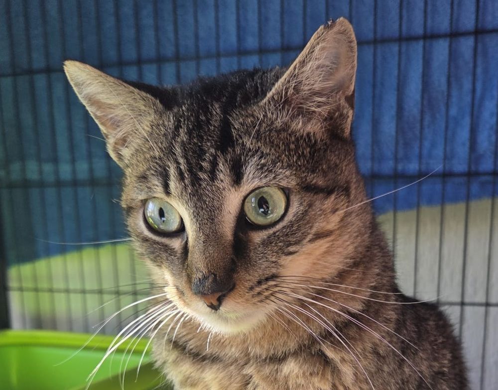 XAVI 230 27620 Gasny