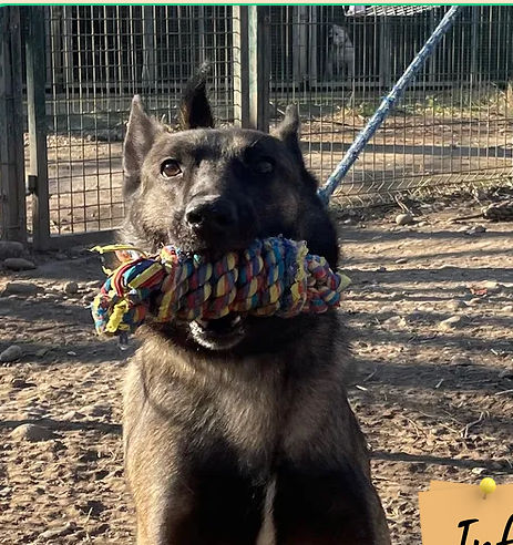 Locky Malou 230 26700 Pierrelatte