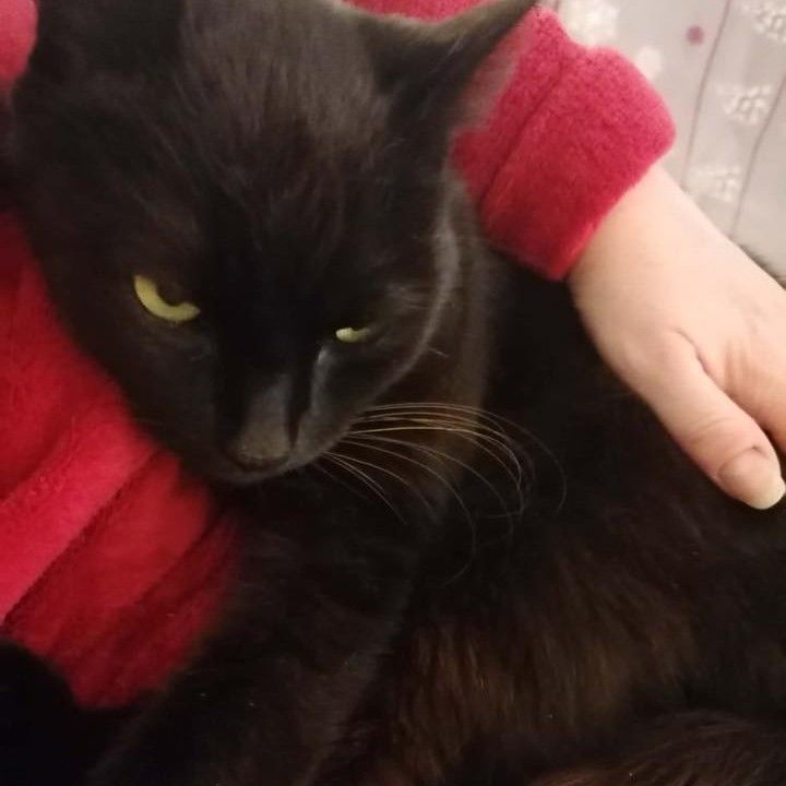 ZORRO 180 26730 Eymeux