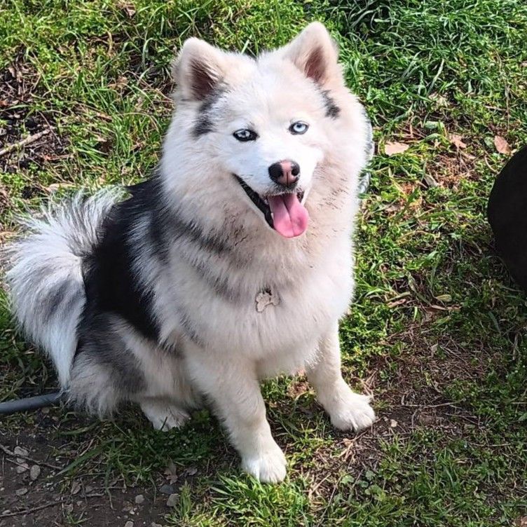 ARLO 200 26320 Saint-marcel-l�s-valence