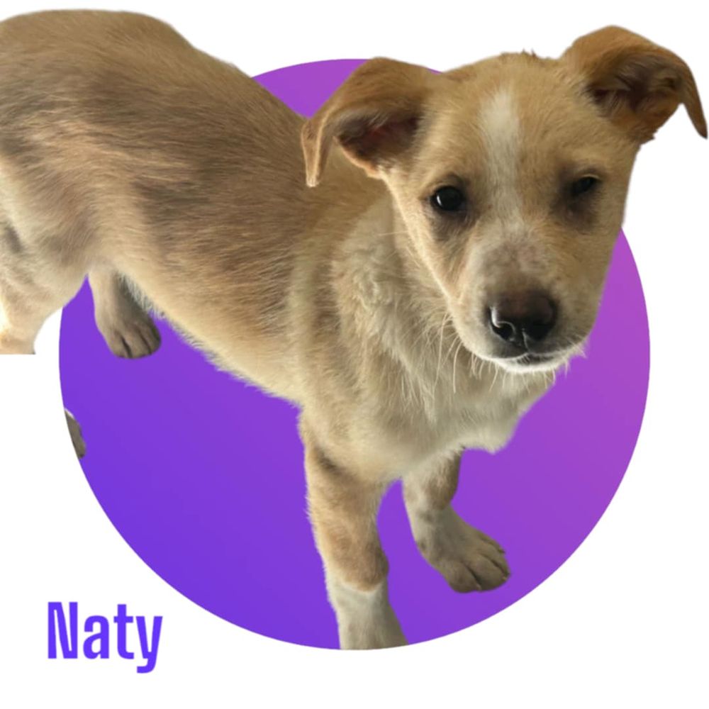 NATY : ils ont massacr&eacute; toute ma famille ! 😭 300 28250 Senonches