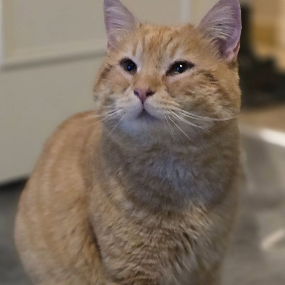 BABOU 50 26100 Romans-sur-is�re