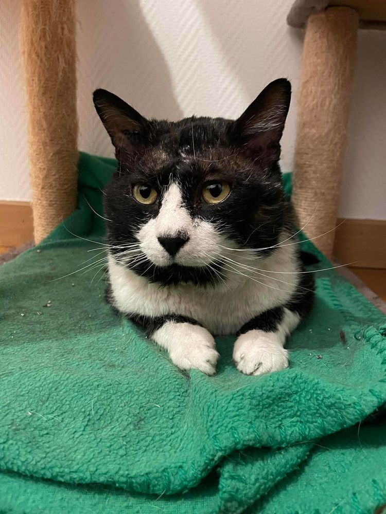 O'Malley 230 69150 D�cines-charpieu