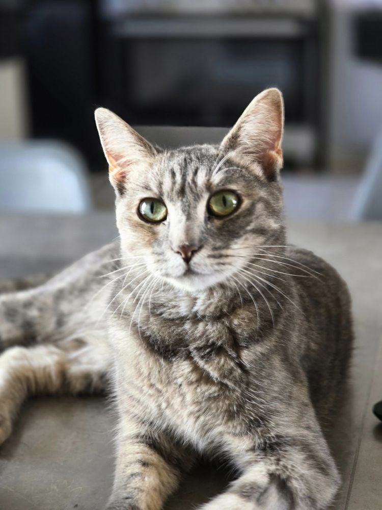 MOKA 210 27140 Gisors