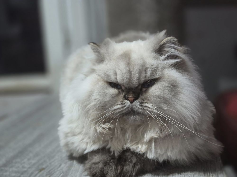 SOLENN 300 76220 Ferri�res-en-bray