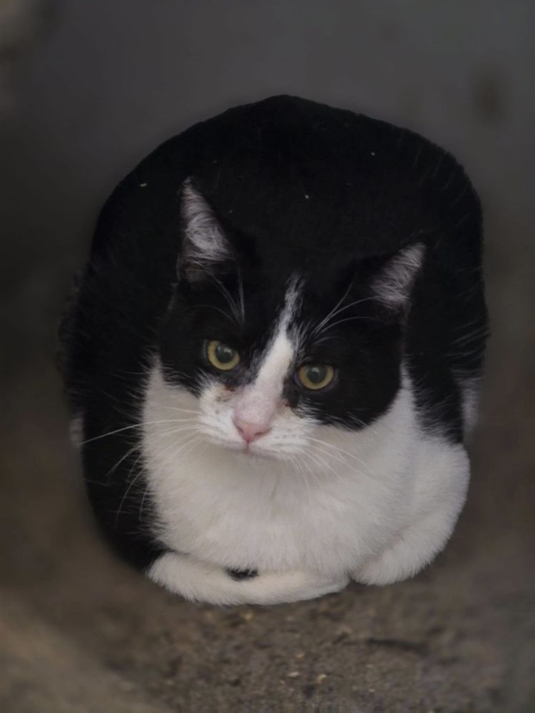 WASABI 210 60000 Beauvais