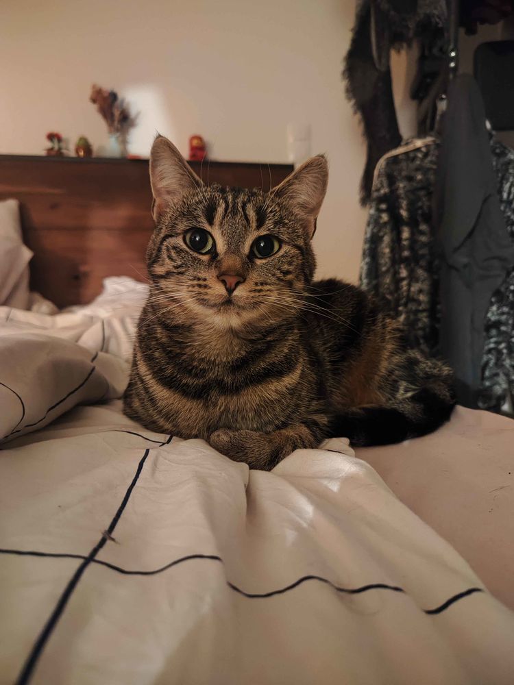 Mira 200 44000 Nantes