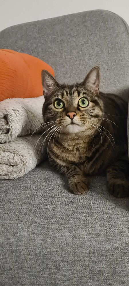 Diablo 190 44000 Nantes