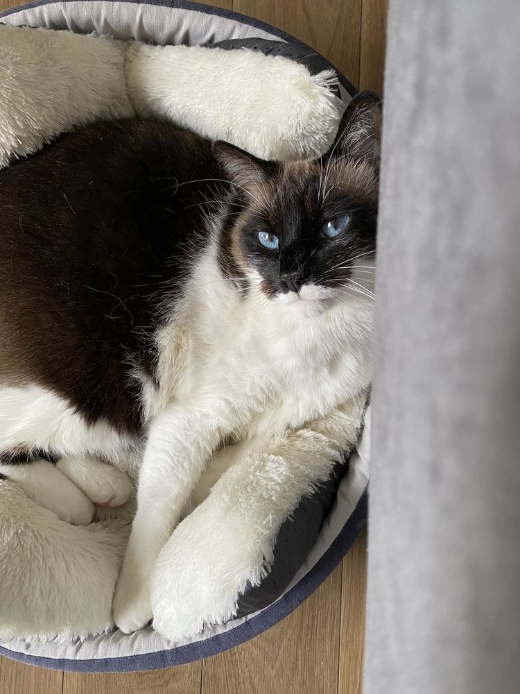 Otiss 170 44000 Nantes