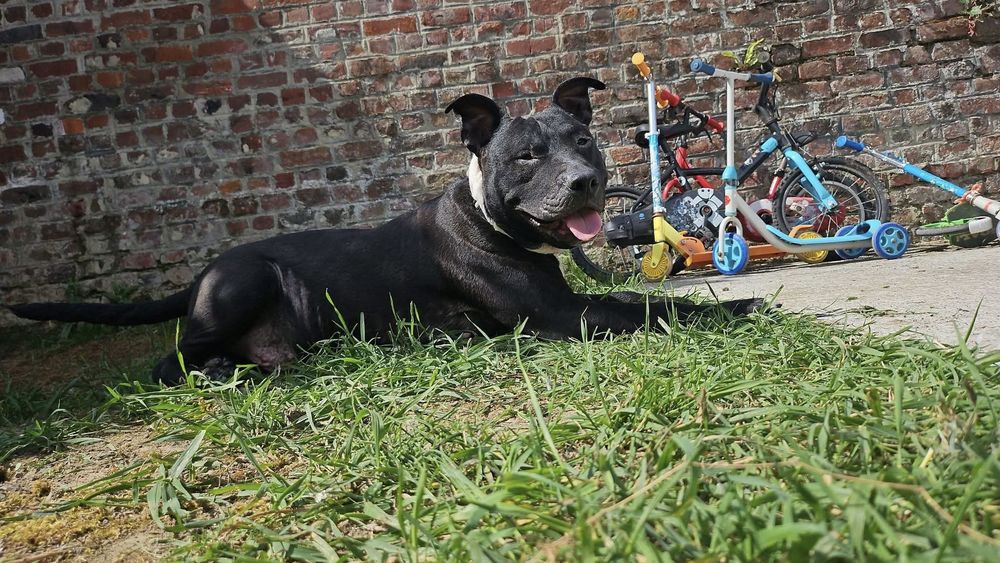 Paco 330 59200 Tourcoing