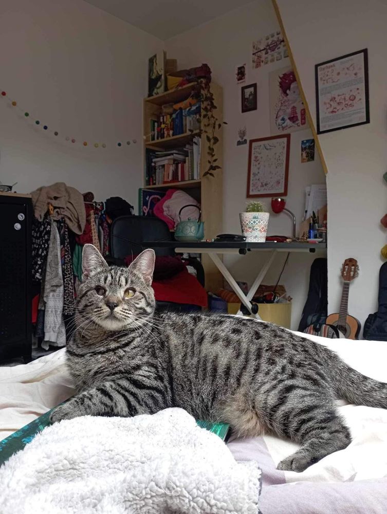 Bonnie 190 59800 Lille